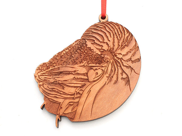 Nautilus Ornament - Nestled Pines