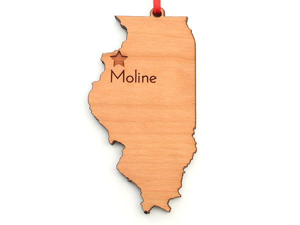 WaterMark Corners Moline Illinois Ornament - Custom State Shape - Nestled Pines